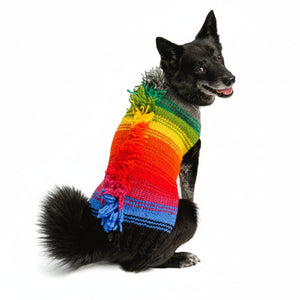 A small black dog wearing a colorful rainbow striped knit sweater with fringe tassels, photographed against a plain white background.