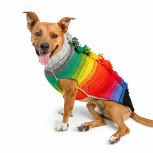Dog wearing Rainbow Mohawk Dog Sweater with colorful rainbow pattern and playful mohawk detail