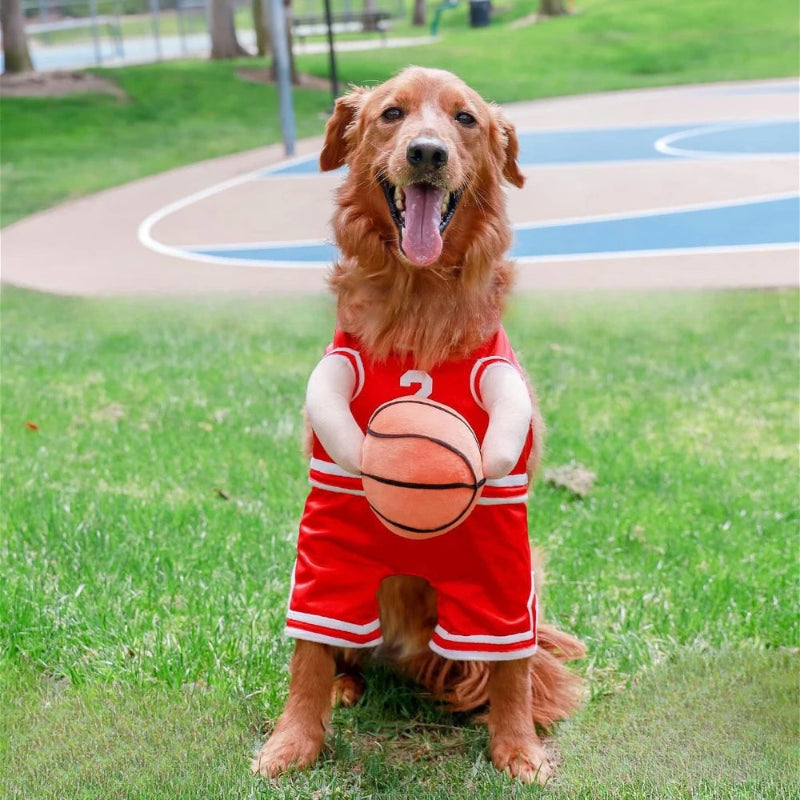Dog wearing a red basketball jersey with number 2, holding a basketball on a white background