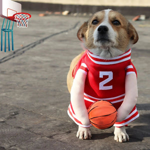 Basketball Player Dog Costume – Red or Yellow Jersey