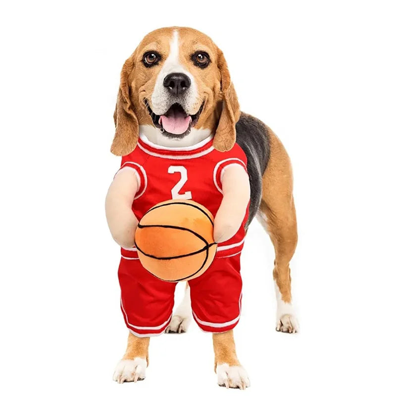 Dog wearing a red basketball jersey with number 2, holding a basketball on a white background