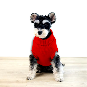 Terrier in Red Chic Cable Knit Turtleneck Dog Sweater