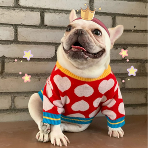 Frenchie wearing Red Heart Dog Sweater