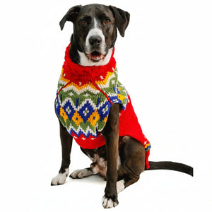 A black and white dog wearing a colorful knit dog sweater with a red base and a geometric multicolor pattern, sitting against a white background.
