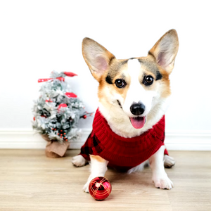 Corgi in Red Plaid Christmas Dog Sweater 