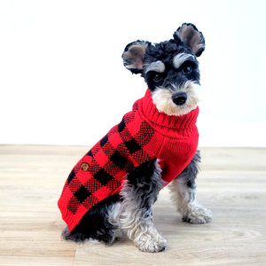 Scottish Terrier in Red Plaid Christmas Dog Sweater