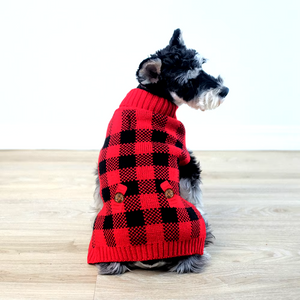 Scottish terrier in plain Red Plaid Christmas Dog Sweater 