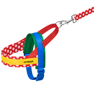 Red Polka Dot Chroma Dog Harness & Leash Set