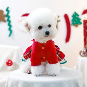 Small white dog wearing a red reindeer dress with Christmas decorations in the background