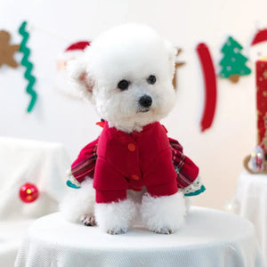 Small white dog wearing a red Christmas dress with Christmas decorations in the background