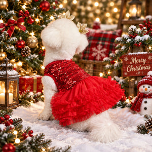 Small dog wearing a red sequin dress in front of a Chrstimas tree background.