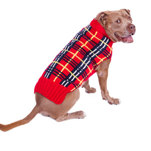 Dog wearing a red plaid sweater on a white background