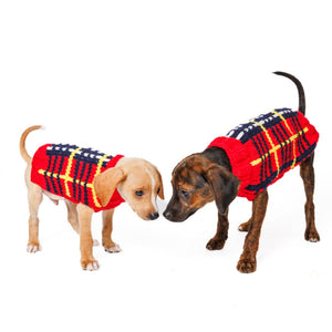 Two dogs wearing red plaid sweaters on a white background 