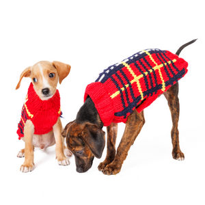 Two dogs wearing red tartan sweaters  on a white background