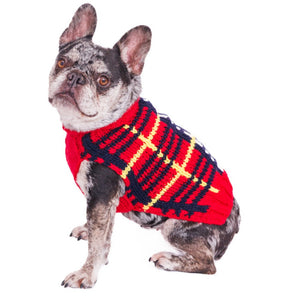 Frenchie wearing a red, yellow, and blue plaid sweater on a white background