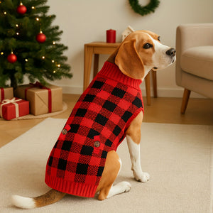 Beagle wearing a red and black checkered sweater in a festive living room with a Christmas tree and presents.
