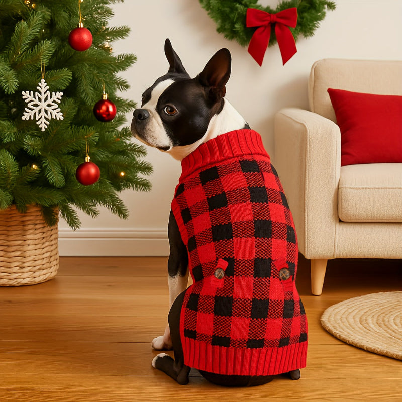 Boxer earing a red and black checkered sweater in a festive living room with Christmas decorations.
