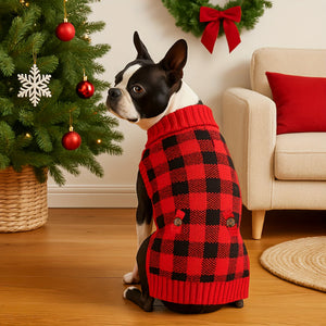 Boxer earing a red and black checkered sweater in a festive living room with Christmas decorations.