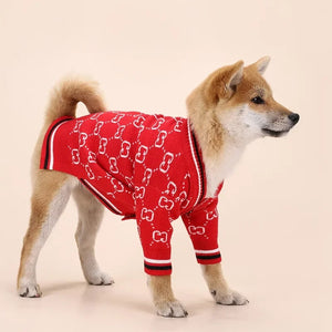 Shba Inu puppy in red cardigan