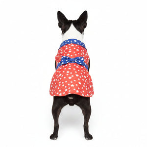 Boston terrier in dog dress with red and white star pattern and blue trim on a white background
