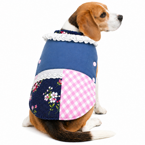 Dog wearing a colorful patchwork outfit on a white background