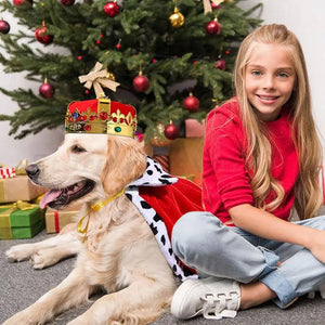 Labrado dressed in king costume and crown with girl in front of Crhrstimas tree