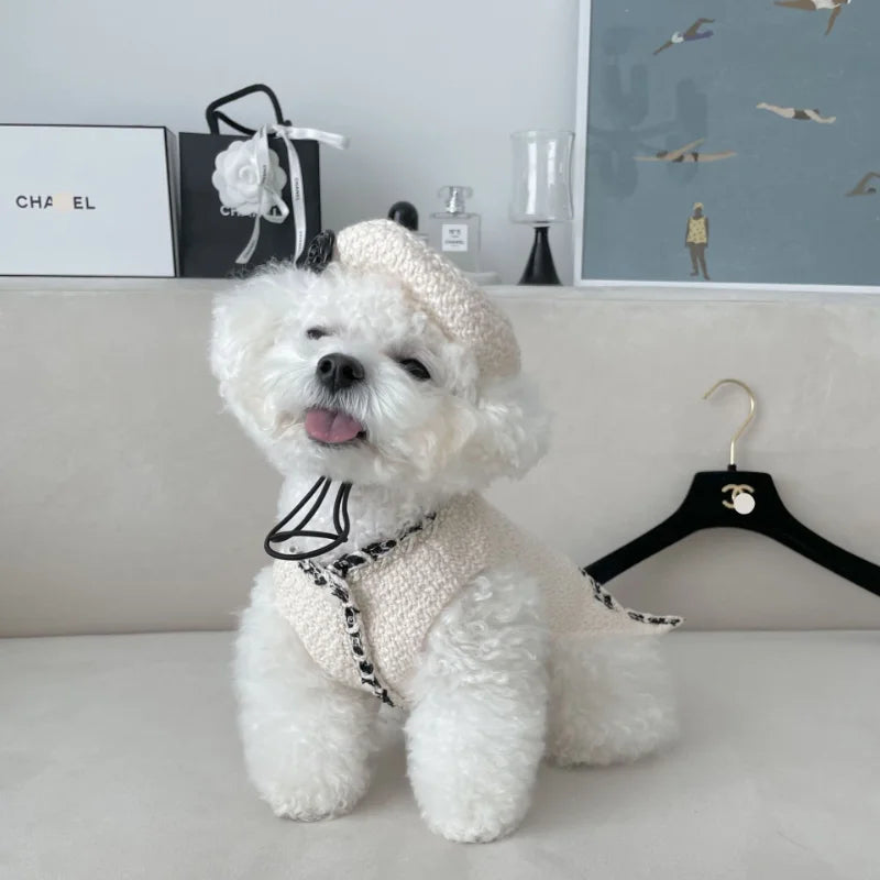Chic Chanel-Inspired Tweed Hat & Dog Dress | Poshdoglife.com