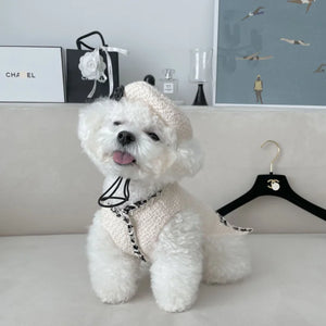 Maltipoo modeling 2-piece Chanel-esque Hat & Dog Dress set. Hat has an adjustable strap.