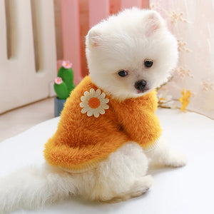 Pomeranian in Yellow Plush Pastel Daisy Dog Sweater 