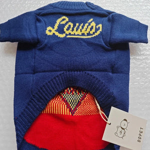 Louis Vuitton-Inspired Designer Dog Sweater says Louis on the chest