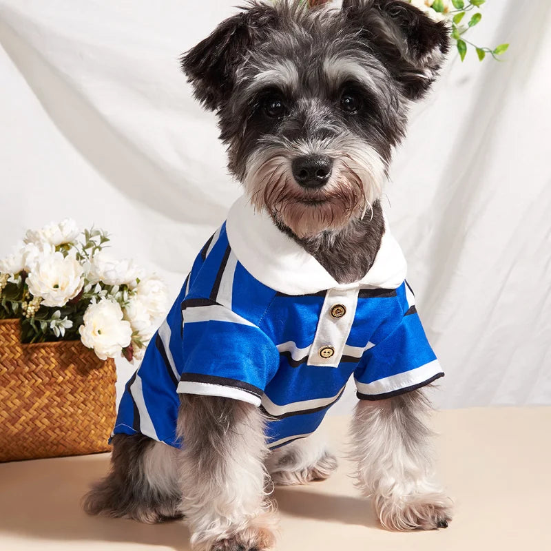 Terrier wearing Blue Striped Polo Dog Shirt