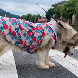 Floral Poppies Big Dog Dress on Husky