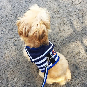 Terrier wearing blue stripe sailor dog harness and leash set