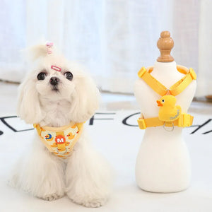 Yellow Duck Harness and Leash set fits small dogs, like this Maltese.
