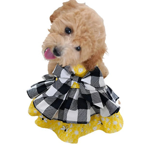 Busy Bee Ruffled Dog Party Dress