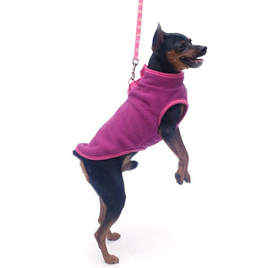 Purple fleece dog vest on Miniature Pinscher.