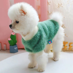 Pomeranian in Green Plush Pastel Daisy Dog Sweater 