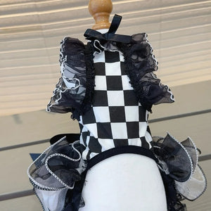 Underside of Harlequin dog dress, with its checkered bodice.