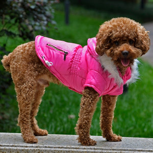 Toy Poodle in  Hot Pink Vibrant Hooded Parka Small Dog Coat
