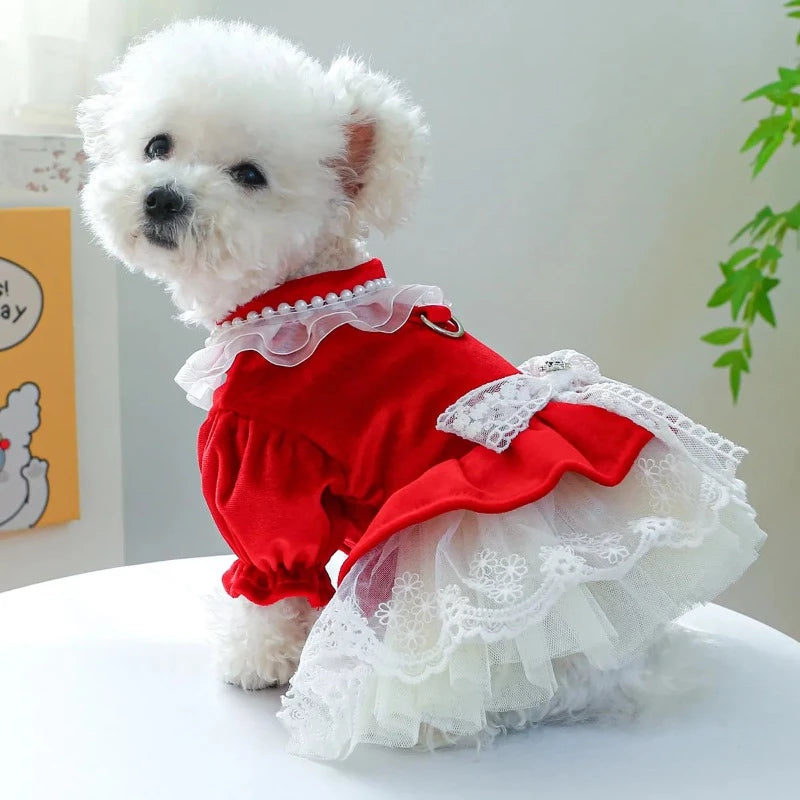 Red Velvet & Lace Holiday Party  Dog Dress