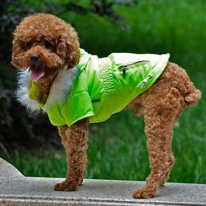 Green Viibrant Hooded Parka Small Dog Coat