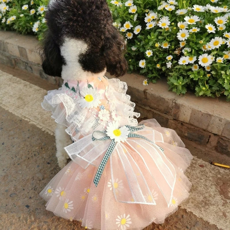 Designer Daisy Dog Party Dress