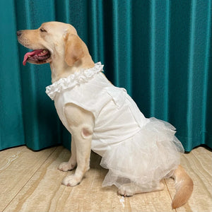 Yellow lab wearing Large Dog Wedding Dress in white