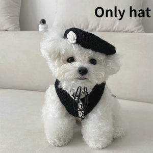 Black beret cap has white rose and is adjustable. Modeled here on Maltipoo.