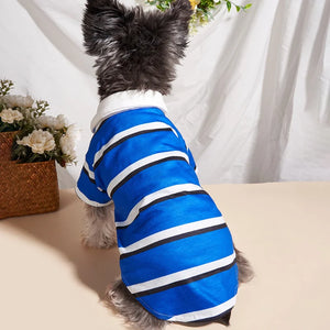 Terrier wearing Blue Striped Polo Dog Shirt. Back view.