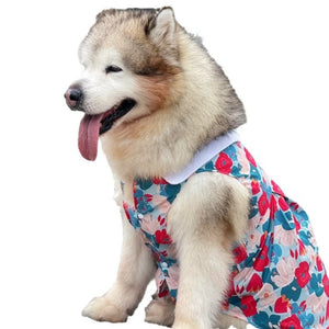 Floral Poppies Big Dog Dress on Husky