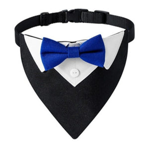 Blue Bow Tie on Black Tuxedo Collar