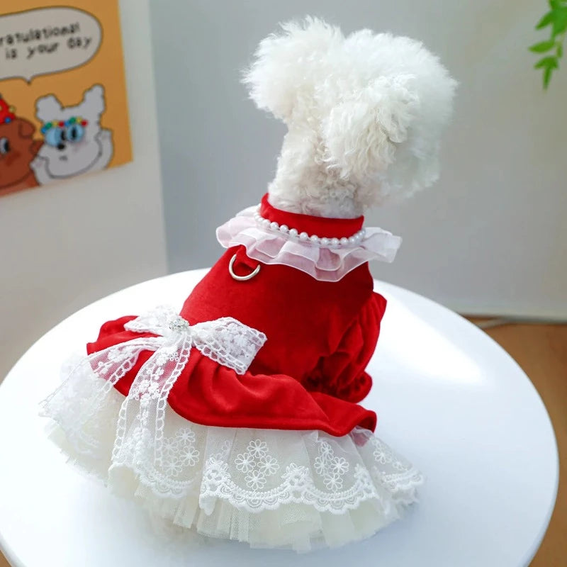 パールリボン♡クリスマス　ネックチュール付き　犬服　ハンドメイド　∞TuTu∞ Red Velvet & Lace Holiday Party Dog Dress | Poshdoglife.com - Posh