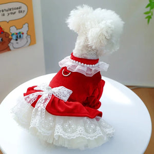 Red Velvet & Lace Holiday Party Dog Dress  has faux pearl neckline for extra glam.