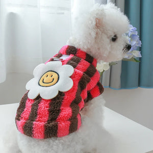 Rose & Brown Smiley Flower Dog Fleece on a Bichon